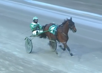 Oh Gouda in command at London