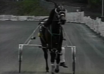 Record-tying performance in Fraser Open