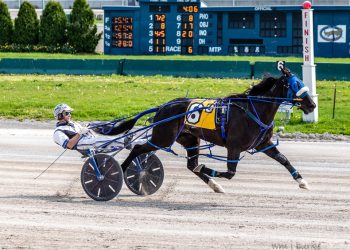 Buffalo sees longshots win features