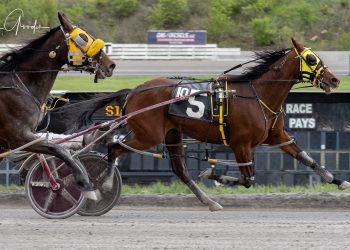 Mare hangs tough in sloppy track feature