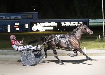 Lying In Cash tallies 31st win at Northville