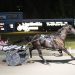 Lying In Cash tallies 31st win at Northville