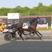 Record mile for Booraa N in Filly & Mare Pace