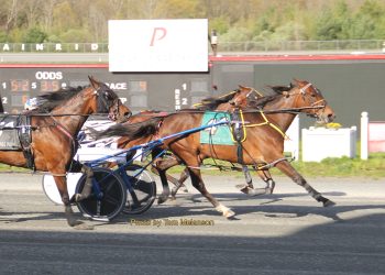 La Bella Vita N hangs tough in Plainridge feature