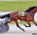 $210,000 Ohio Sire Stakes Monday at Scioto Downs