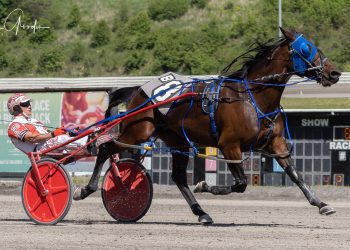 Silly But Serious all business with third straight