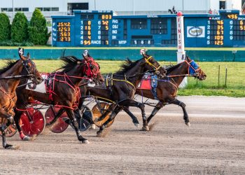 Sporty Deal prevails in thrilling finish