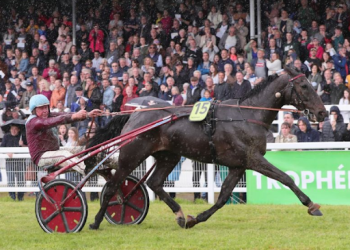 Enzo d’Essarts upsets in 48,000€ Trophee Vert third leg