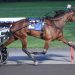 Trotters soar in $119,500 New York Sire Stakes