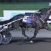 Voukefalas superb as Lazarus offspring sweep pacing NJSS