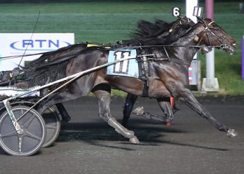 Major upset in Big M New Jersey Sire Stakes