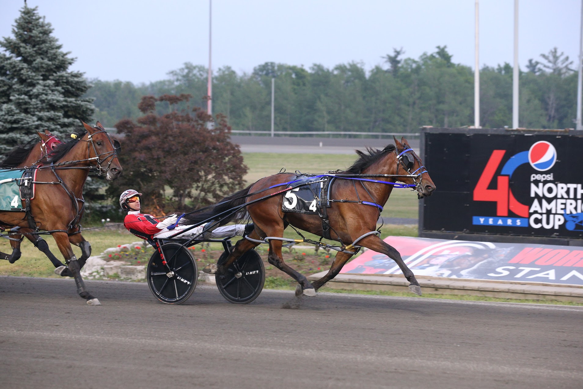 Elims Complete For North America Cup, Fan Hanover, Ambro Flight ...