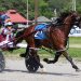USA Harness Racing News for Friday, June 16, 2023 3