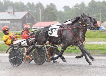 Pickmepickme does it again at Cumberland