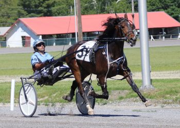 Maine Sire Stakes action at Cumberland