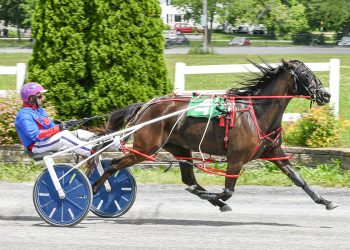 Another Sire Stakes score for Pickmepickme