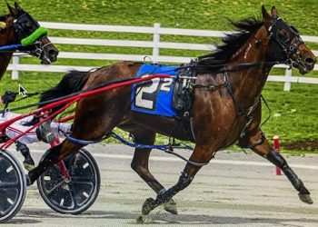 Amateur club sees history repeat itself