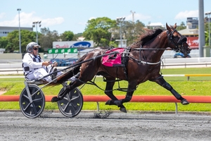 Egmont Park will reduce breeding stock