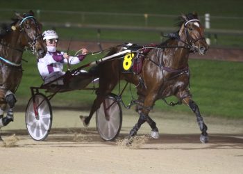 How sweet it is: Lou and Dalgety proving a formidable duo