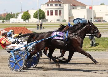 Trotters in Quebec-Bred opening round Friday