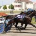 Trotters in Quebec-Bred opening round Friday
