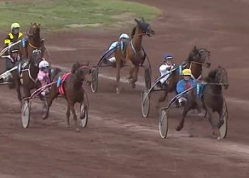 Kentucky Wood scores first victory in France