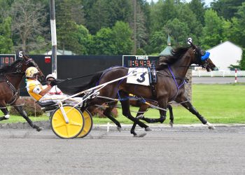 Northern Luxury returns to winning ways