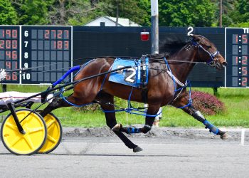 Sheikh Yabooty N wins first try in Open ranks