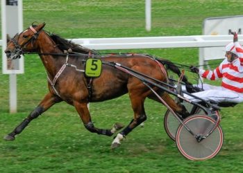 Upset winner in Trophee Vert 7th Leg