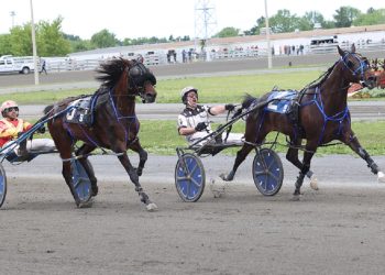 The Light Speed avenges loss in Quebec-Bred Series