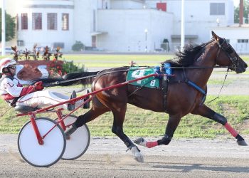 Trotters shine in Quebec-Bred Series at H3R
