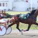 Trotters shine in Quebec-Bred Series at H3R