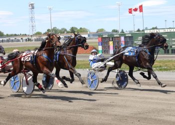 High payoffs continue at Hippodrome 3R