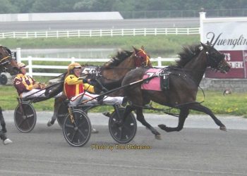 A perfect milieu for Milieu Hanover