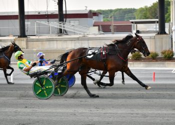 Majorca N hangs tough in Harrington Open