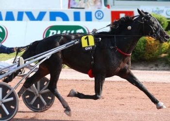 Horace du Goutier wins GNT Leg 6 at Laval