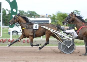 Toulouse feature sees Hastronaute wire the field