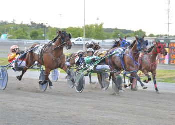 The Showman scores five winners at H3R
