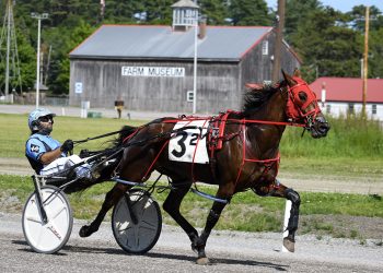 Two full fields for Sire Stakes at Bangor