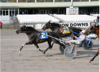 Amazing Sevens grinds out score at 11-1