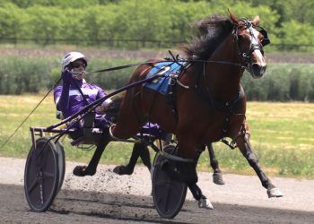 Readly Success steals the show at Gaitway