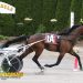 Top trotters fly in NYSS