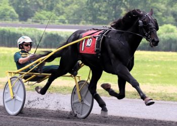 Burke dominates with six new 2YO winners