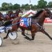 3YO Championship held at York Raceway