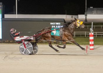 For Once Inmy Life stays unbeaten in OSS action