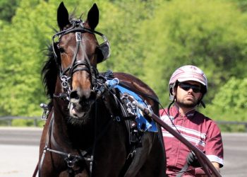 Gaitway qualifiers see repeat winners