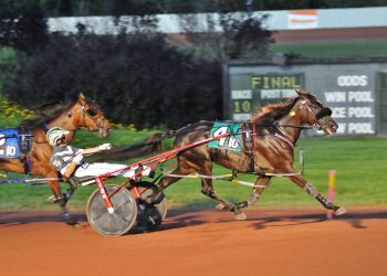 Undefeated filly scores again in PASS