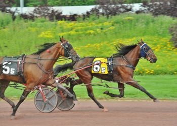 Brother to Beach Glass sharp over off track