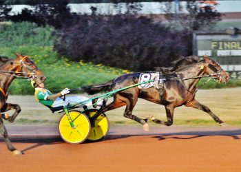 Colt trotters sharp in $142,548 PASS