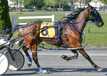 Kevin Switzer, Jr wins five at Bangor Raceway